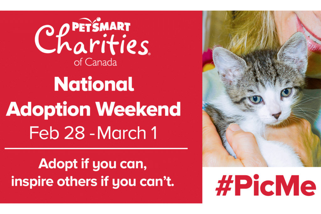 PetSmart National Adoption Weekend is May 17-19!  Furkids - Georgia's  Largest No Kill Animal Rescue & Shelters