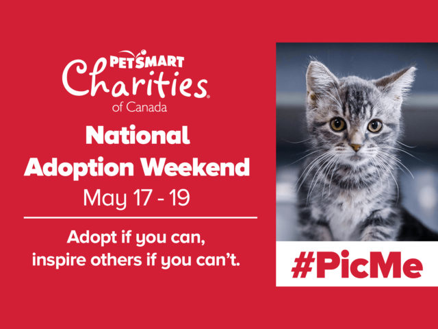 PetSmart Charities National Adoption Weekend | Humane Society London ...